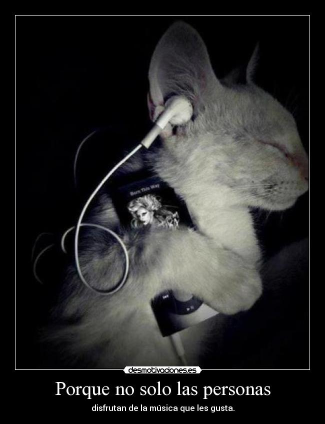 Porque no solo las personas - 