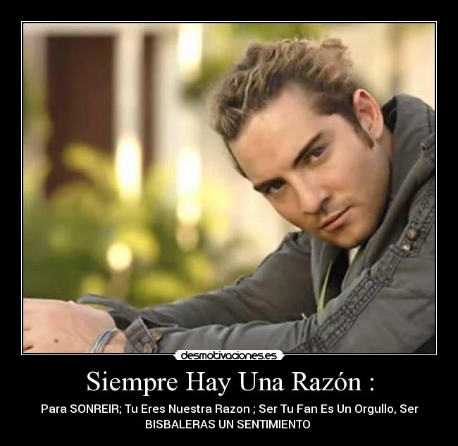 carteles david bisbal desmotivaciones