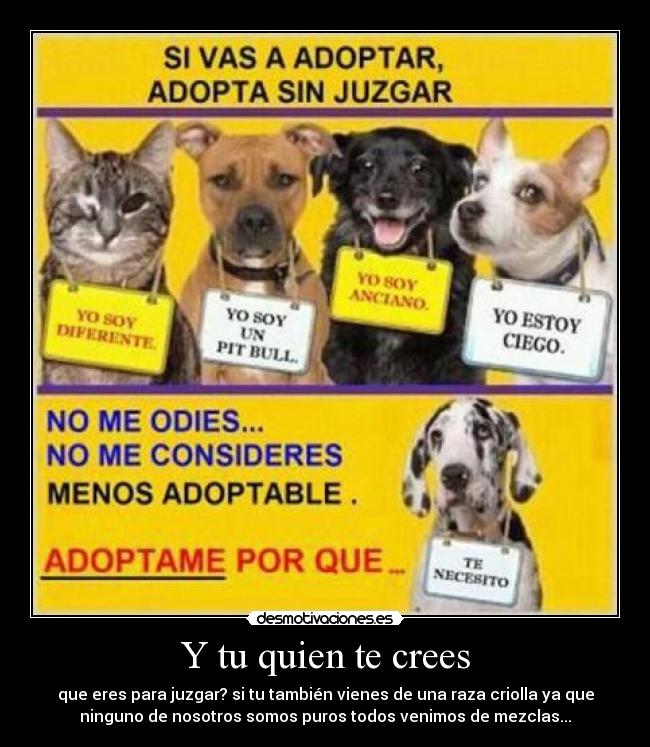 Y tu quien te crees - que eres para juzgar? si tu también vienes de una raza criolla ya que
ninguno de nosotros somos puros todos venimos de mezclas...