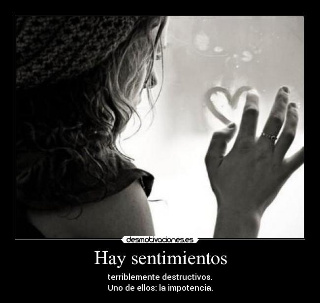 Hay sentimientos - 