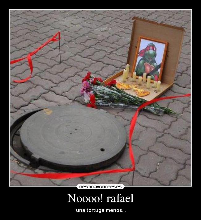 Noooo! rafael - 