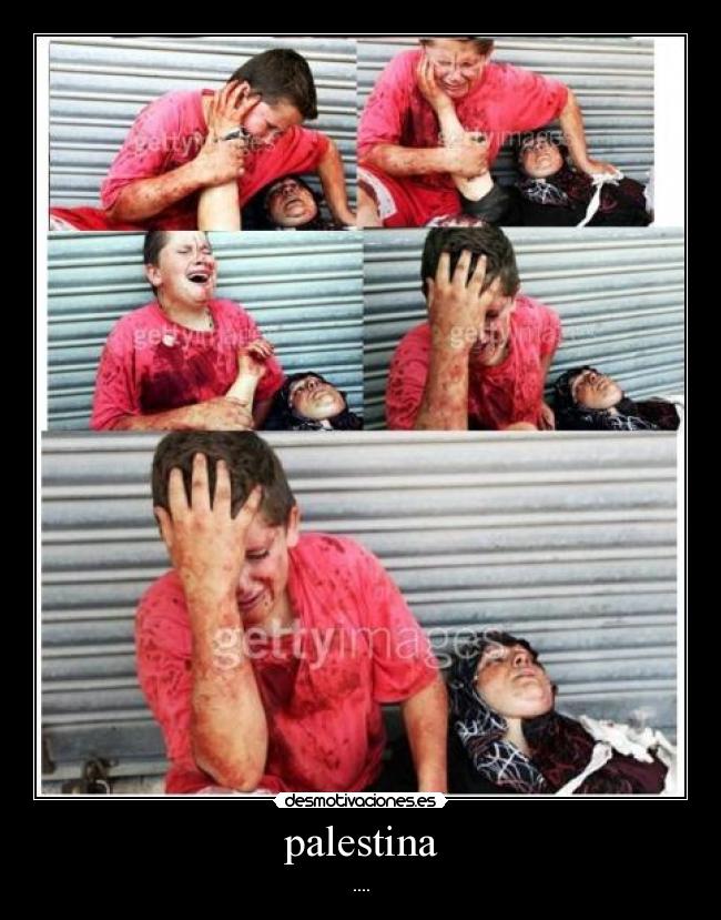 palestina - ....