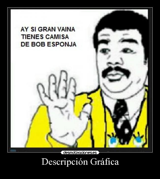 Descripción Gráfica -