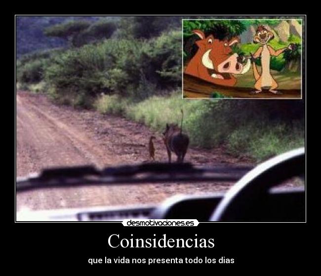 Coinsidencias -