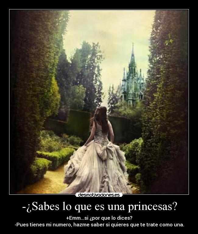 -¿Sabes lo que es una princesas? - 