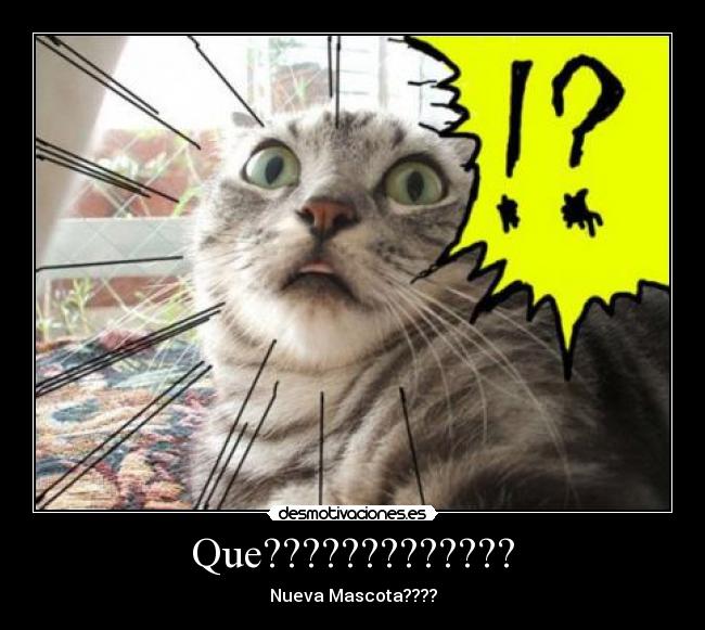 Que????????????? -