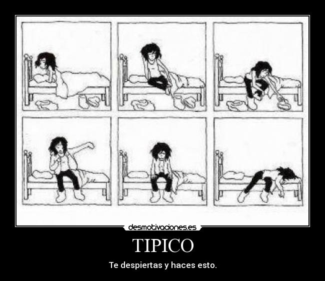 TIPICO -