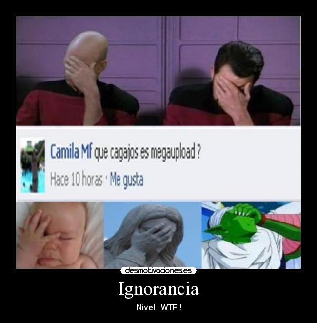 Ignorancia - Nivel : WTF !