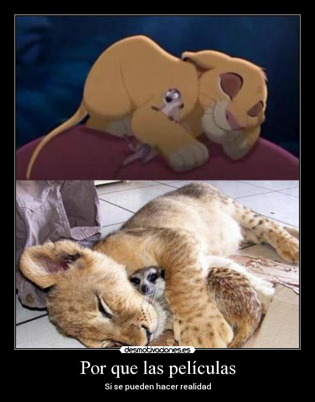 Por que las películas - Si se pueden hacer realidad