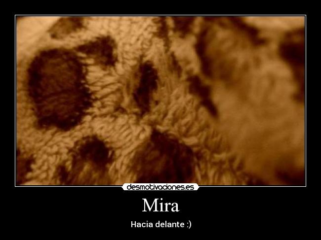 Mira - Hacia delante :)