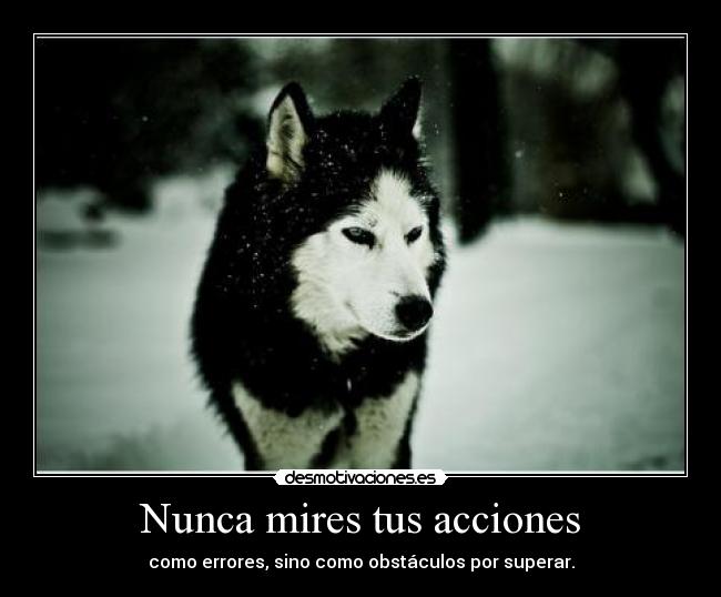 Nunca mires tus acciones - como errores, sino como obstáculos por superar.