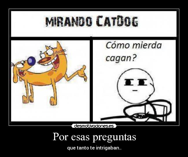 Por esas preguntas - que tanto te intrigaban..