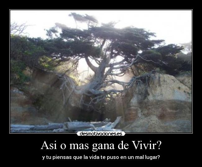 Asi o mas gana de Vivir? - y tu piensas que la vida te puso en un mal lugar?