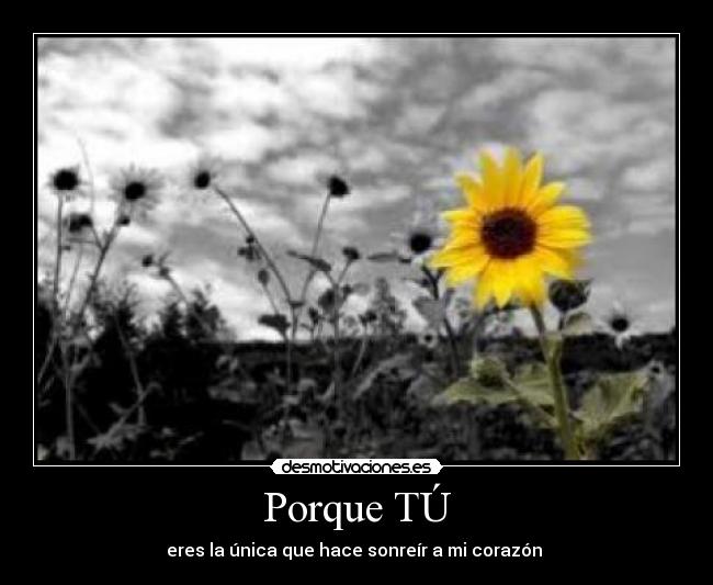Porque TÚ -