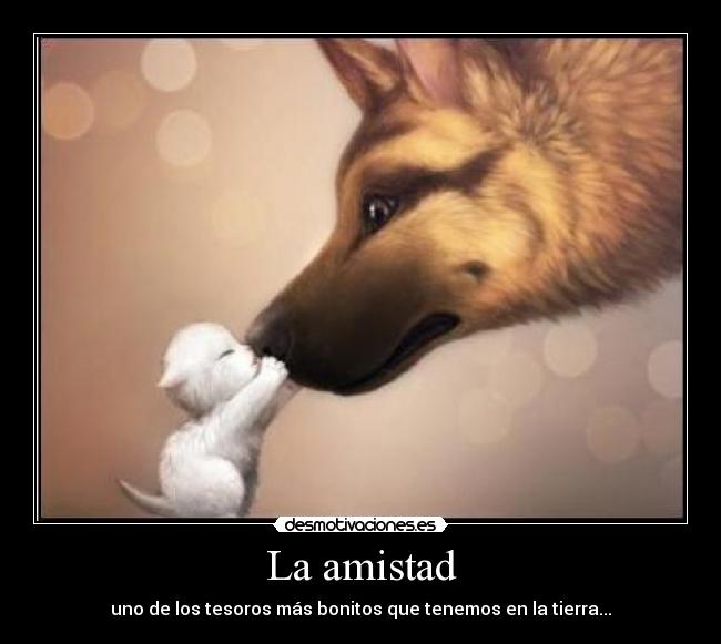 La amistad - 