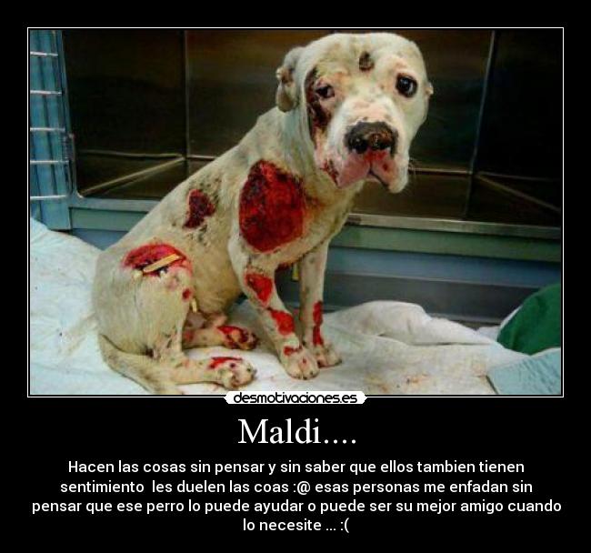 Maldi.... - Hacen las cosas sin pensar y sin saber que ellos tambien tienen
sentimiento les duelen las coas :@ esas personas me enfadan sin
pensar que ese perro lo puede ayudar o puede ser su mejor amigo cuando
lo necesite ... :(