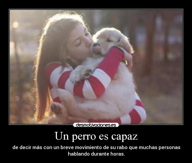 Un perro es capaz - de decir más con un breve movimiento de su rabo que muchas personas
hablando durante horas.