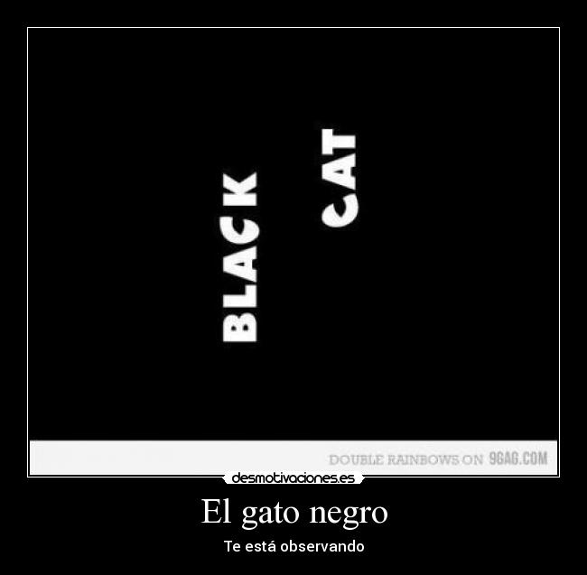 El gato negro - Te está observando