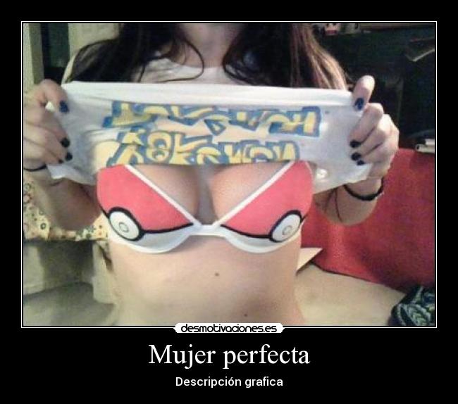 Mujer perfecta - Descripción grafica