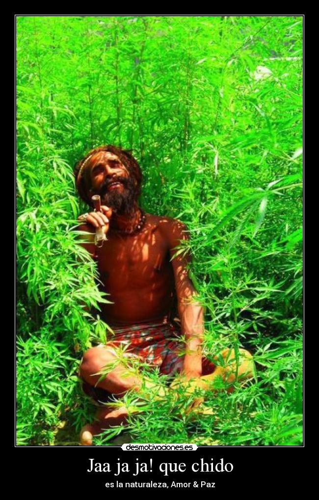 Jaa ja ja! que chido -