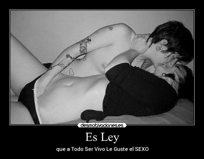 Es Ley - que a Todo Ser Vivo Le Guste el SEXO