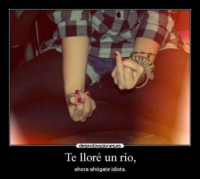 carteles migleidysmayora desmotivaciones