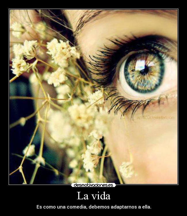 La vida - Es como una comedia, debemos adaptarnos a ella.