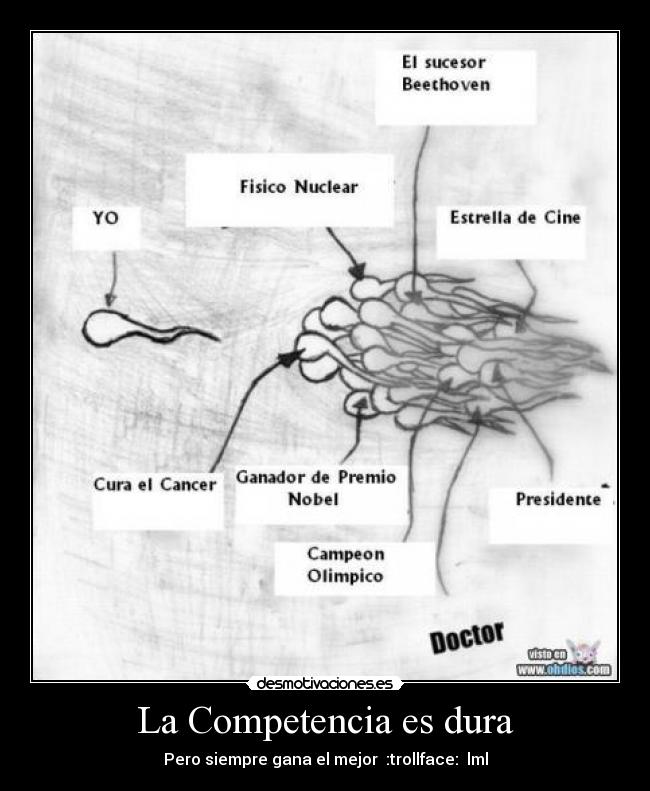 La Competencia es dura - Pero siempre gana el mejor :trollface: lml