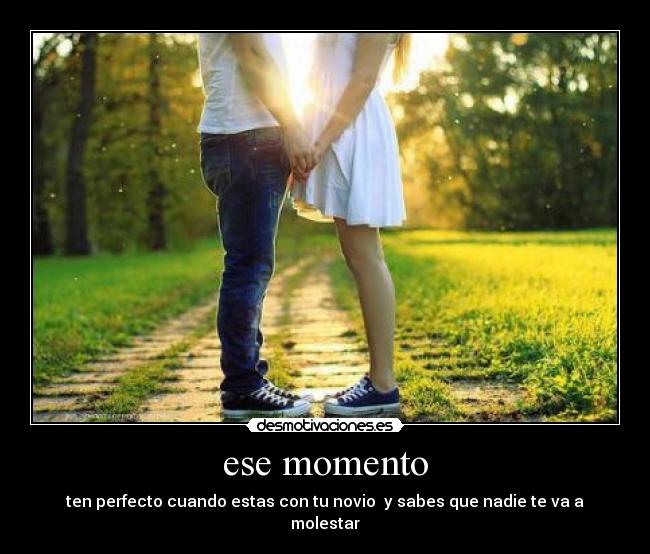 carteles paula villanueva torres desmotivaciones