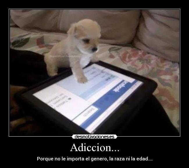 Adiccion... - 