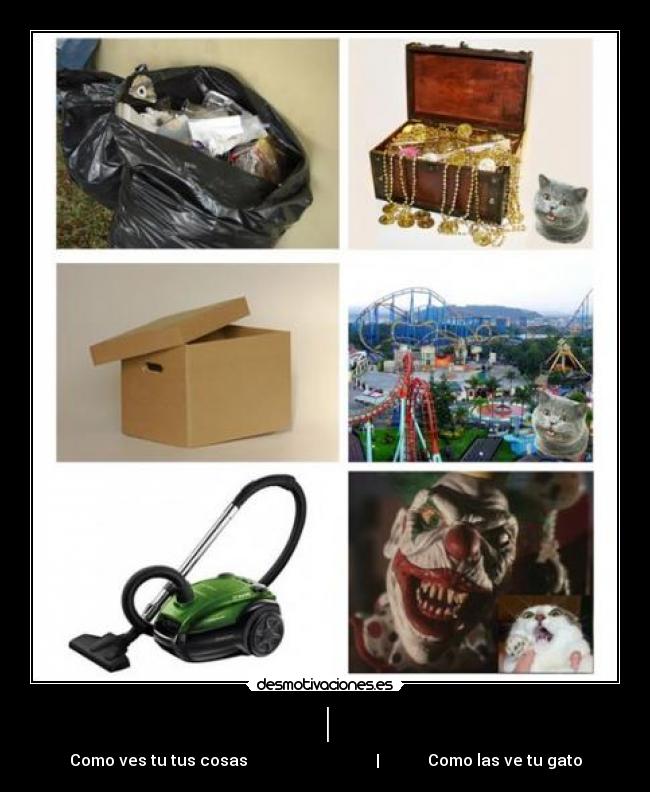 | - Como ves tu tus cosas | Como las ve tu gato