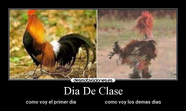 Dia De Clase - como voy el primer dia como voy los demas dias