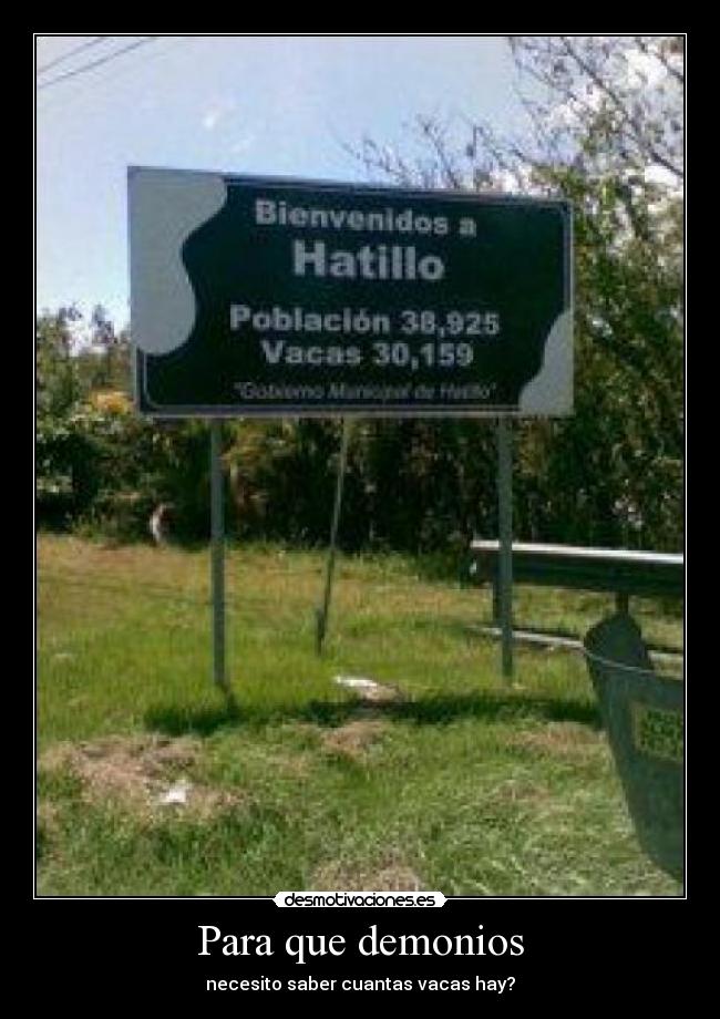 Para que demonios - necesito saber cuantas vacas hay?