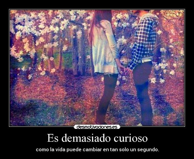 Es demasiado curioso -