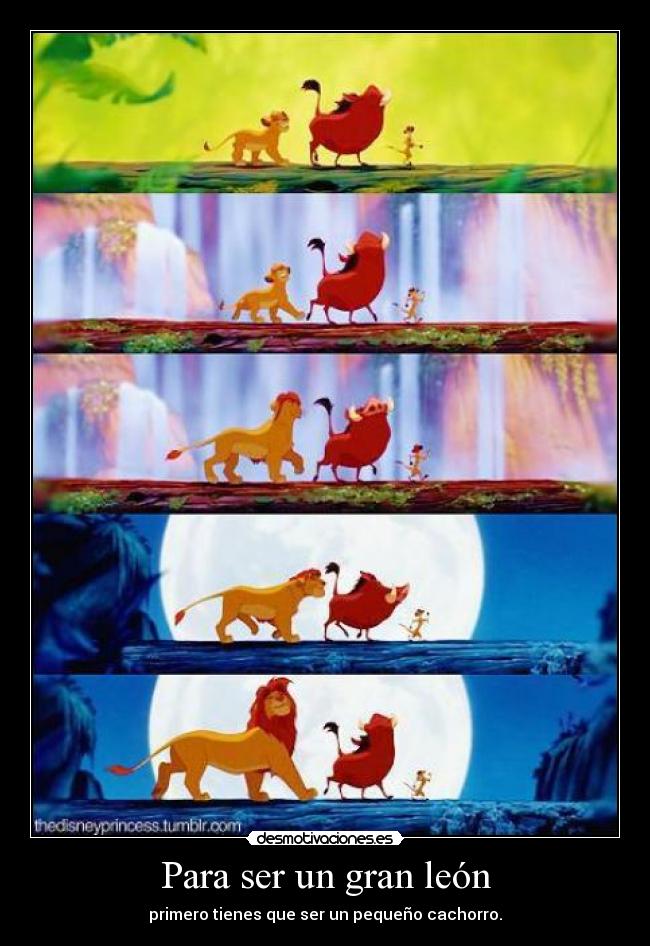 Para ser un gran león -