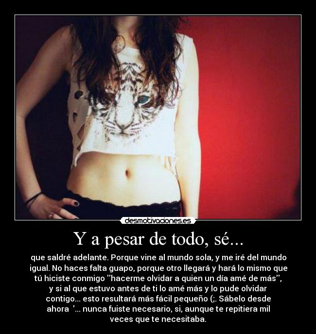 carteles pesar todo se desmotivaciones