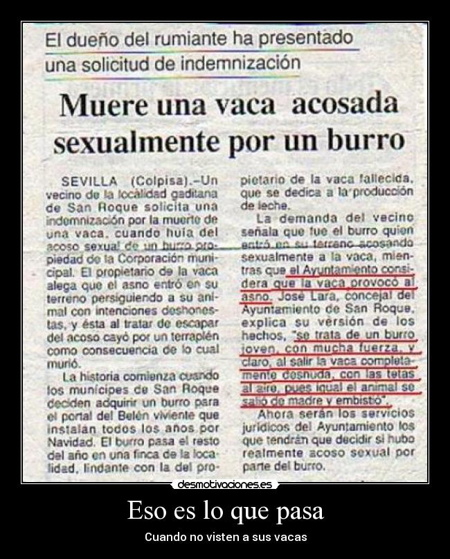 Eso es lo que pasa - Cuando no visten a sus vacas