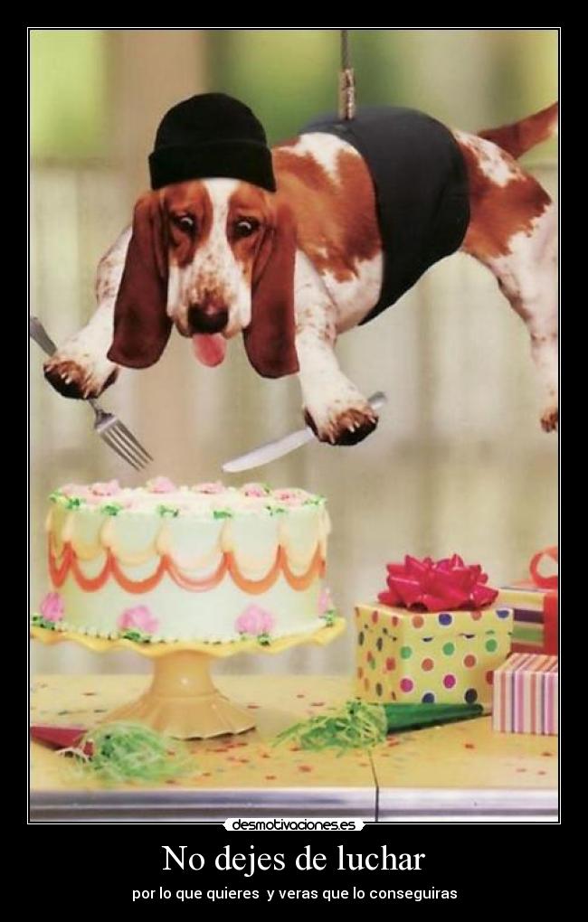 No dejes de luchar - por lo que quieres  y veras que lo conseguiras