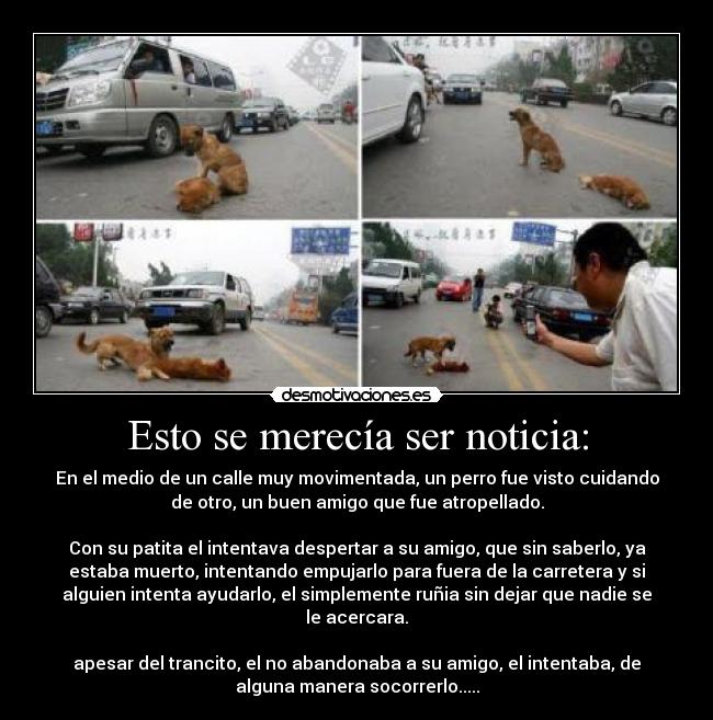 Esto se merecía ser noticia: -