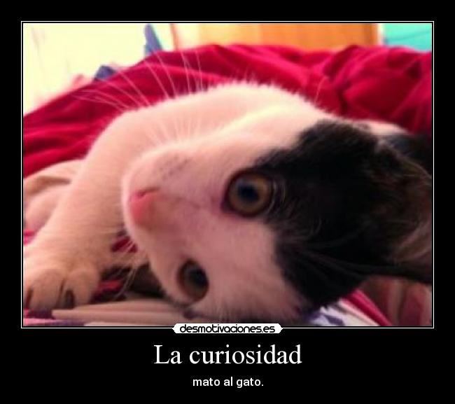 La curiosidad - 