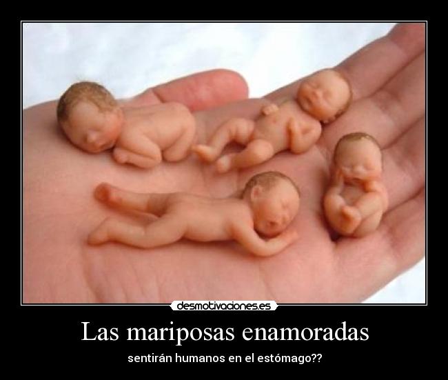 Las mariposas enamoradas - 