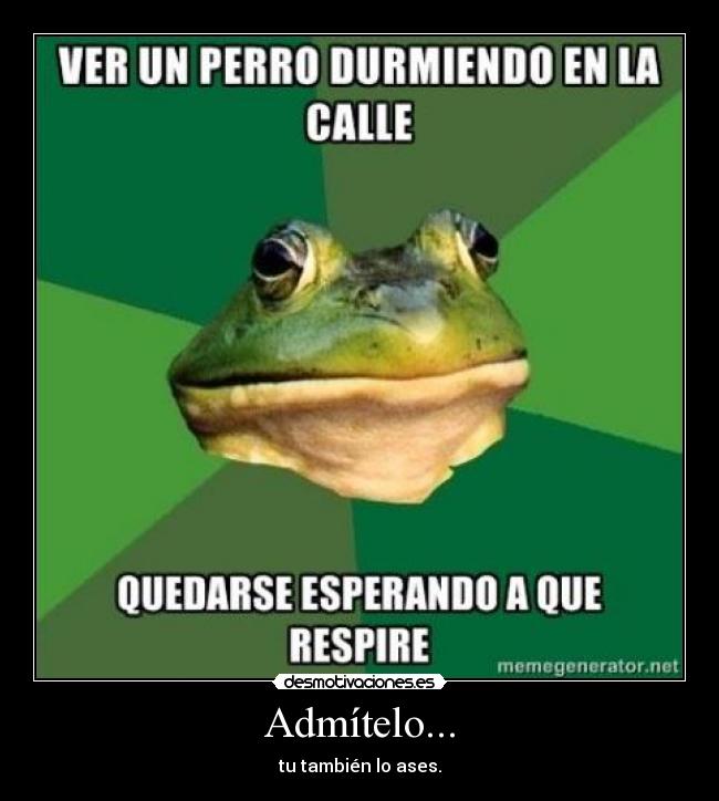 Admítelo... - tu también lo ases.