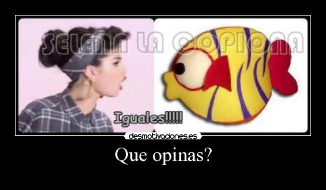 Que opinas? -