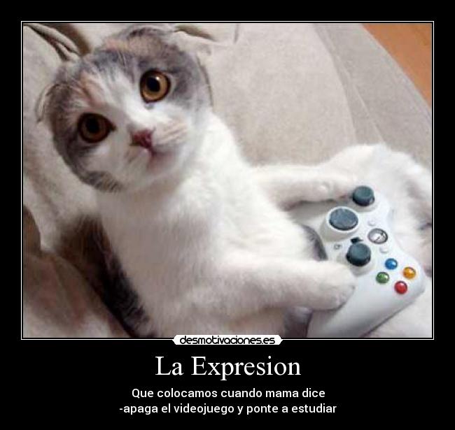 La Expresion - Que colocamos cuando mama dice
-apaga el videojuego y ponte a estudiar