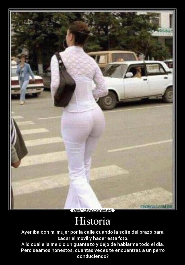 Historia - Ayer iba con mi mujer por la calle cuando la solte del brazo para
sacar el movil y hacer esta foto.
A lo cual ella me dio un guantazo y dejo de hablarme todo el dia.
Pero seamos honestos, cuantas veces te encuentras a un perro
conduciendo?