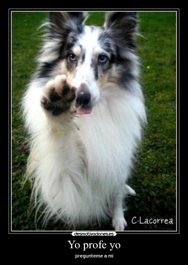 carteles para una que desmotivaciones