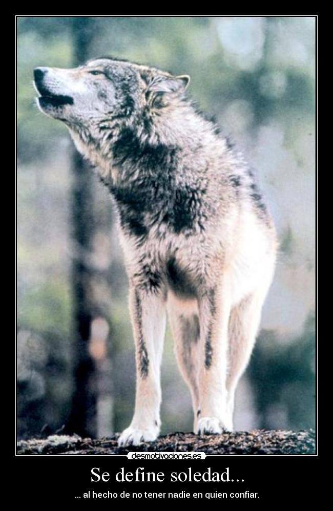 carteles soledad define soledad hecho tener desmotivaciones