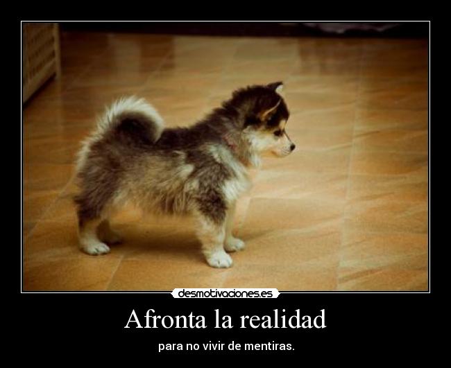 Afronta la realidad - 