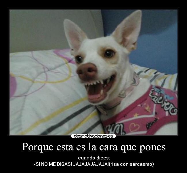 Porque esta es la cara que pones - cuando dices:
-SI NO ME DIGAS! JAJAJAJAJAJA!(risa con sarcasmo)