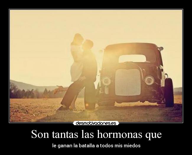 Son tantas las hormonas que -